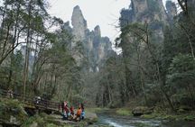 Private 1 Tour Zhangjiajie National Forest Park Avatar Mountain