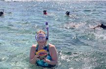 Reef fishing beach cook out