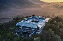 VIK Winery Private Tour with Transport