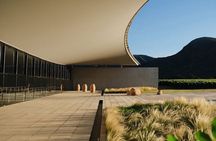 VIK Winery Private Tour with Transport