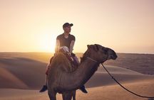 2 Day Fes to Marrakech Desert Tour with Camel Ride and Camp