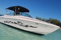 Exotic half day private charters to Rose Island, Pigs and Turtles