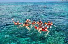 Exotic half day private charters to Rose Island, Pigs and Turtles