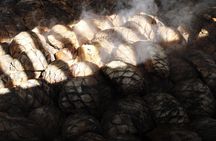 Sustainable Mezcal Tour at an Award Winning Family Distillery
