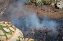 Sustainable Mezcal Tour at an Award Winning Family Distillery