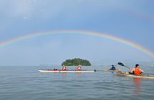 Kayaking Tour - Bay of Paraty & Manguezal