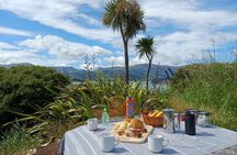 1/2-day Christchurch Scenic Highlights (Small Group Tour) 