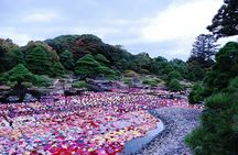 Art and Gardens of Sakaiminato by Private Car