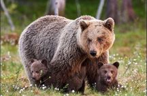 Trip Lake Louise-Lake Minnewanka-Two Jack-Moraine & Emerald Lakes