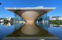 Mt Fuji Shizuoka Wasabi Tour with Hokusai Train and Bullet Train