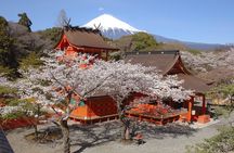 Mt Fuji Shizuoka Wasabi Tour with Hokusai Train and Bullet Train