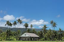 Half Day Private Road to Hana Tour with Pickup 