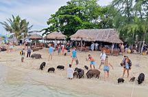 Pig Island Sightseeing, Snorkerling by Catamaran from Koh Samui