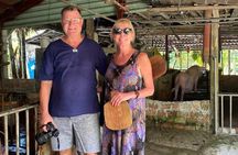 Da Nang City Tour, Marble Mountain, Coconut Boat, Hoi An Old Town