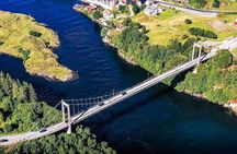 Bergen: Alverstraumen RIB Safari - by Premium RIB Boat