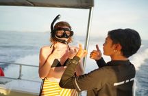 Phuket Luxury Catamaran Phi Phi Maya Bay Maiton with Snorkeling