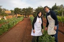 Traditional Pasta Class in Marsala's Scenic Countryside
