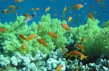 Sharm Submarine Adventure