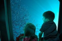 Sharm Submarine Adventure