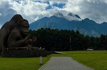 2 Days Rwanda Mountain Gorilla Trekking & Chimpanzee
