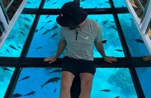 Glass Boat 1 Hour Sea Adventure with Parasailing: Sharm El Sheikh