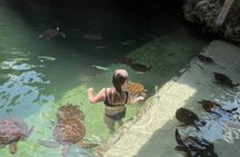 Swim with Sea Turtles at The Lagoons Zanzibar