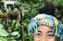 Zanzibar Maasai Culture, Jozani Forest and Salaam Cave Turtle