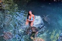 Zanzibar Swim with Dolphins and Turtles Visit at the Aquarium