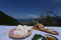 Cooking Class in Sorrento: From our Garden to your Dish!