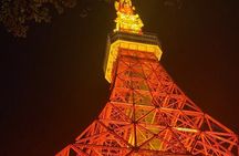 Tokyo Night Tour Customizable