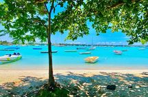 Mauritius: Private North Cultural Odyssey with Hotel Pick Up