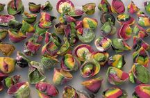 Colorful Pasta and Tiramisu Lesson in Milan