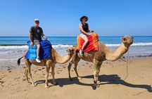 Tangier Private Cruise Tour: Camels Ride , Kasbah , Markets