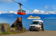 Whittier to Anchorage Cruise Transfer with Wildlife and Tram