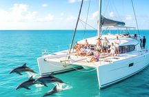 MIAMI: Key West Dolphin Watch Tour 