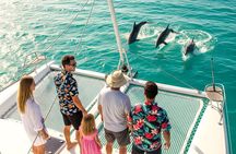 MIAMI: Key West Dolphin Watch Tour 