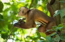 Eco Jungle - 2 Days / 1 Night