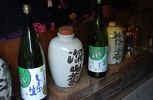 Walking Tour in Takayama Old Town and Historic Streets