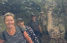 Kyoto Arashiyama Bamboo Forest Hiking Tour（Hidden Temples）