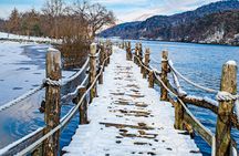 Nami Island One Day Trip with Gangchon Rail Bike from Seoul