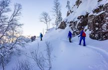 Preikestolen Winter Hike with Hot Meal