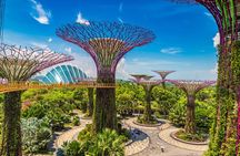 Singapore City Light Tour : Garden by the Bay, Supertree Rhapsody