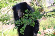 Yala National Park Safari from Hambantota Port