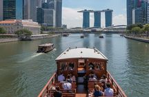 Singapore City Light Tour : Garden by the Bay, Supertree Rhapsody