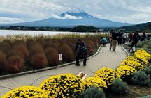 Mount Fuji Private Tour with English Guide in Luxury Vehicle 