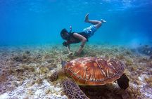 Private Snorkeling Tour and Beach Day