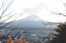 Mt Fuji and Kawaguchiko Private Tour