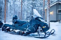 Small Group: Snowmobile Safari from Riverside Lodge 3h