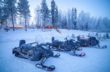 Small Group: Snowmobile Safari from Riverside Lodge 3h