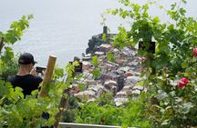 Heroic : Vineyard Trekking & Authentic Wine Tasting in Vernazza
